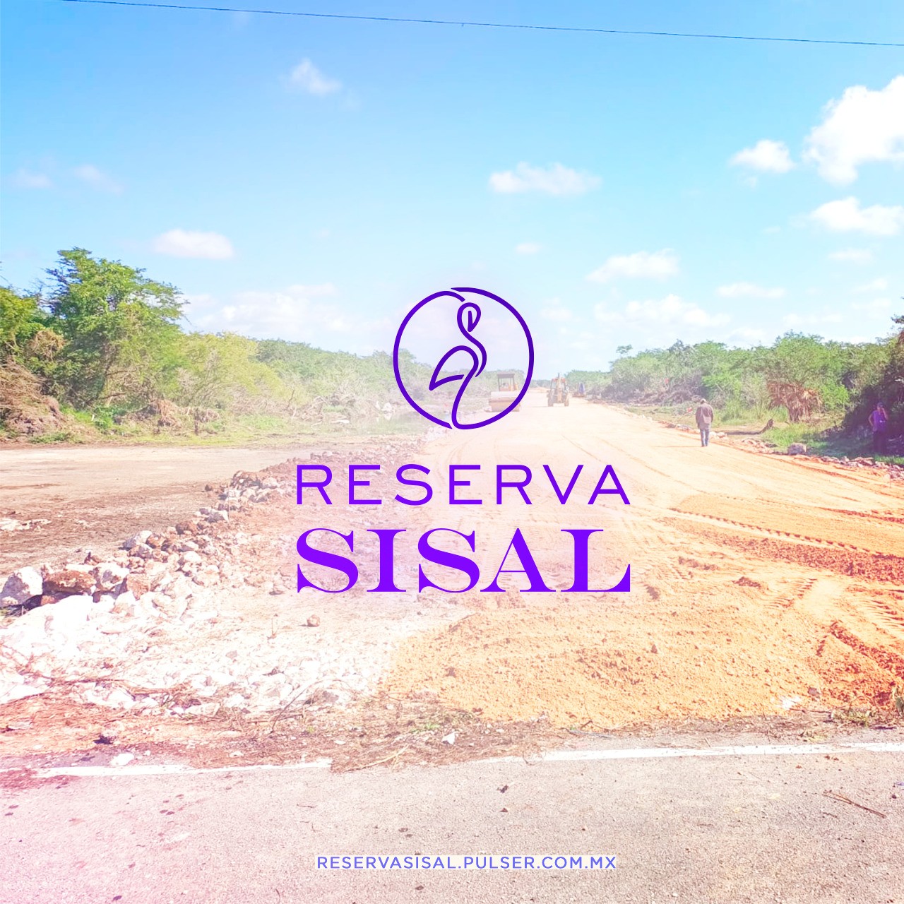 Reserva Sisal portada del desarrollo