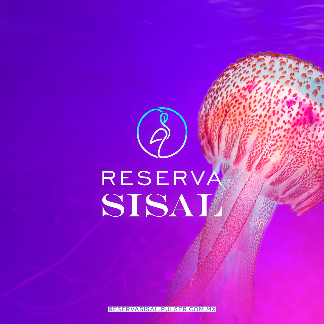 Reserva Sisal lotes de inversión