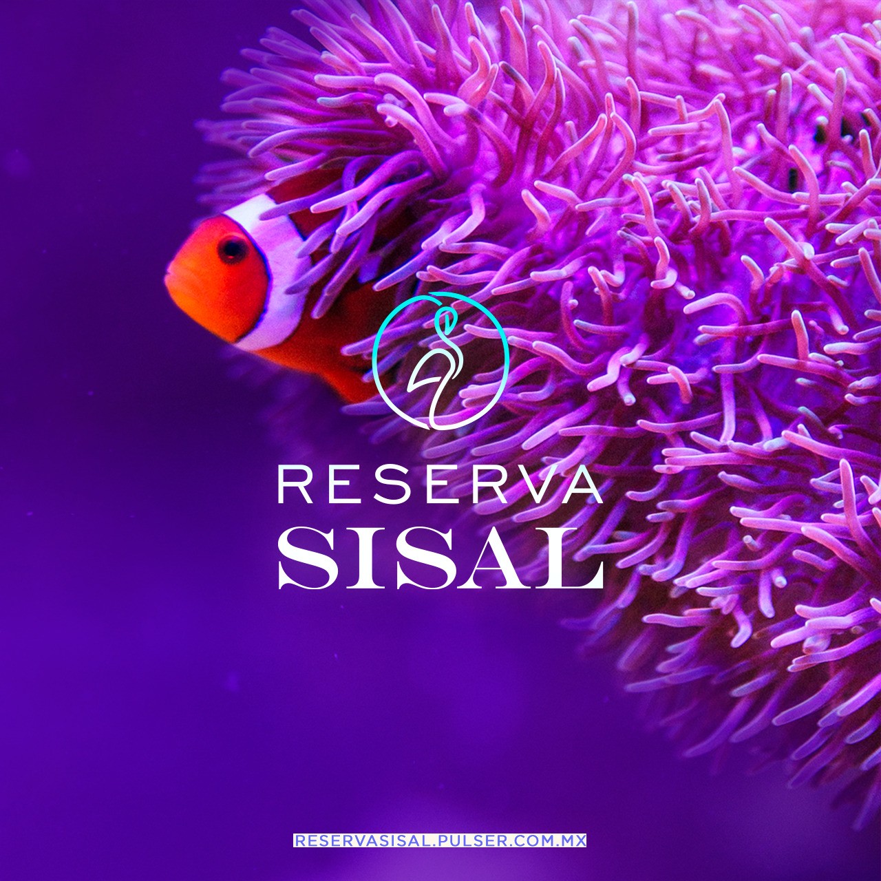 Reserva Sisal entorno de playa