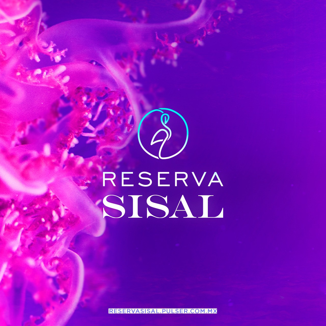 Reserva Sisal paisaje natural