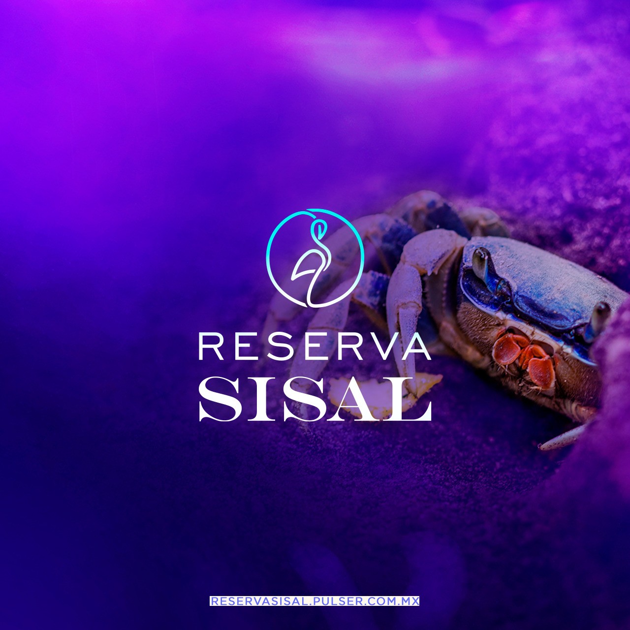 Reserva Sisal paisaje de Sisal