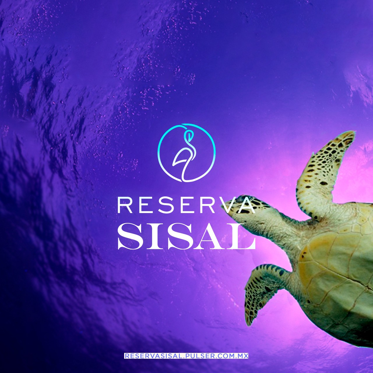 Reserva Sisal entorno del desarrollo