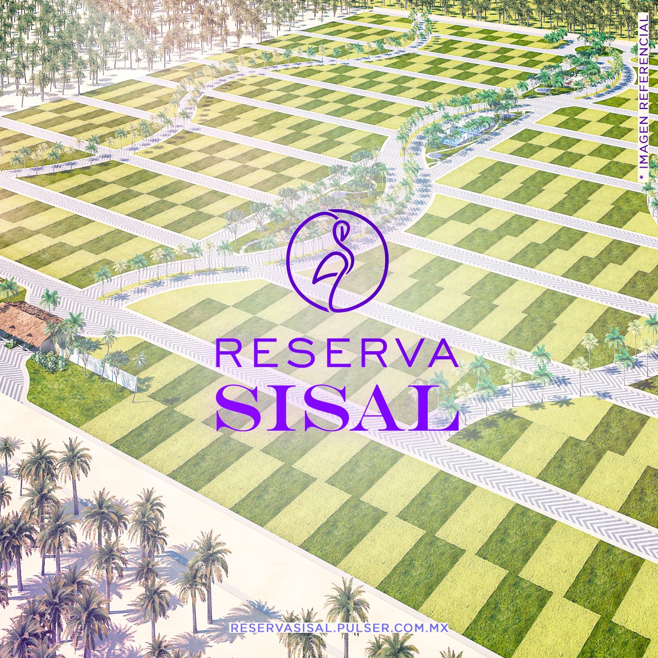 Reserva Sisal recorrido del desarrollo