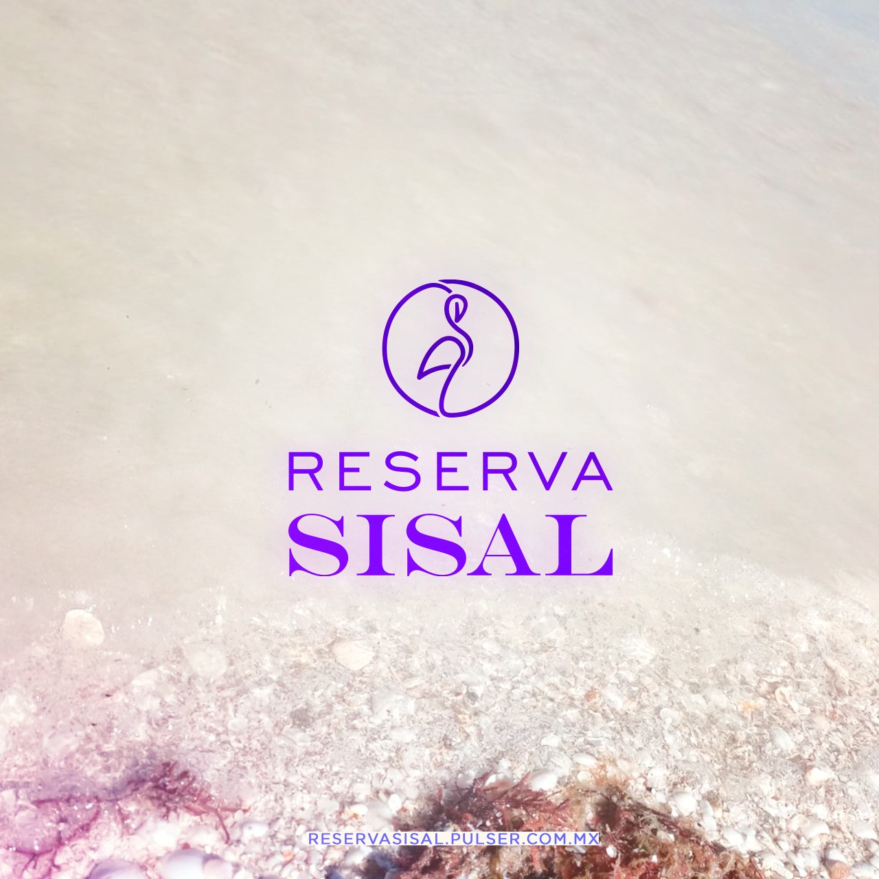 Reserva Sisal terreno semi urbanizado
