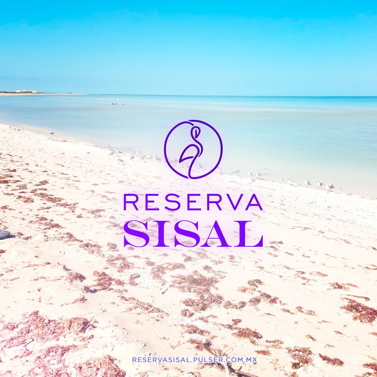 Reserva Sisal entorno natural