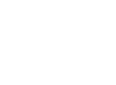 VG