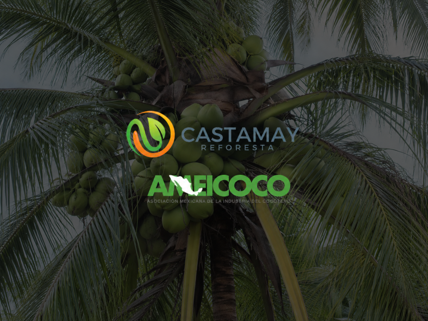 Logotipos de Castamay Reforesta y AMEICOCO, Asociación Mexicana de la Industria del Cocotero