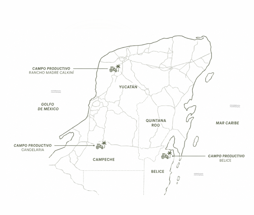 Mapa de ubicaciones productivas de Coterra en Calkiní, Candelaria y Blue Creek, Belice