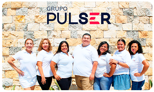 equipo asesores Grupo Pulser