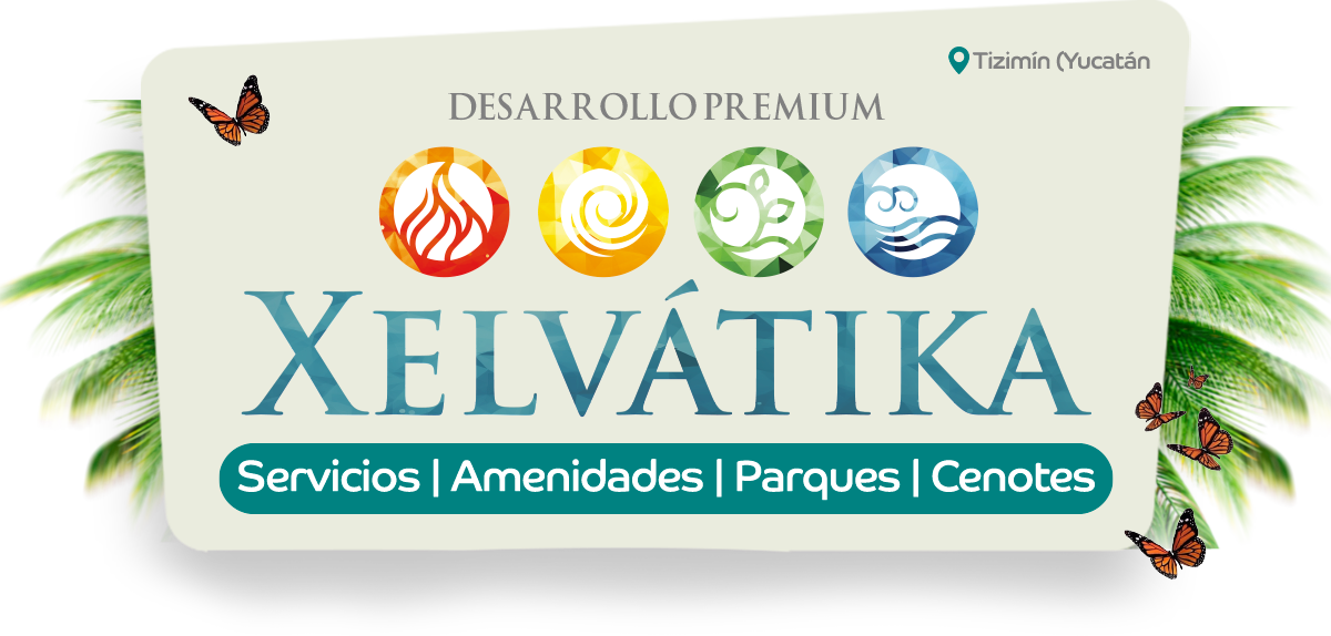 Webinar Inversión Tizimin
